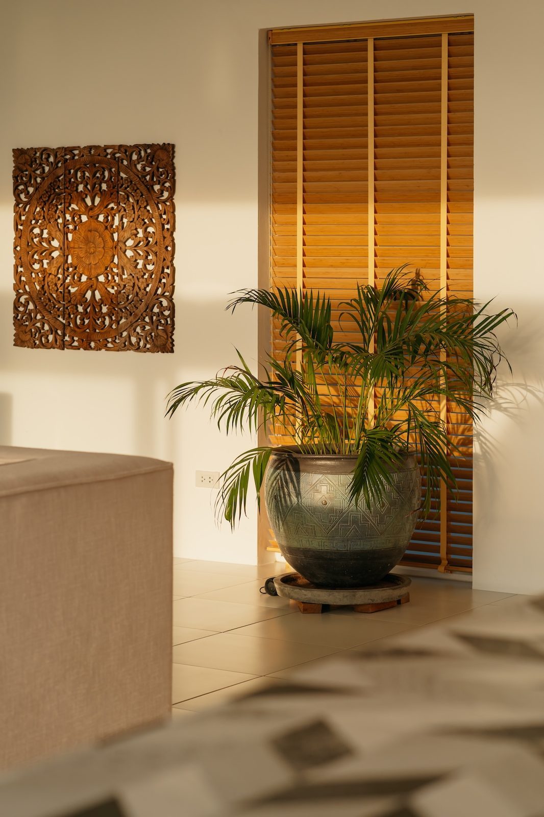 Carved Thai detail with plant in warm light